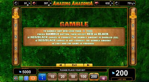 Amazing Amazonia Big Bonus Slots Double Up Gamble Feature Rules