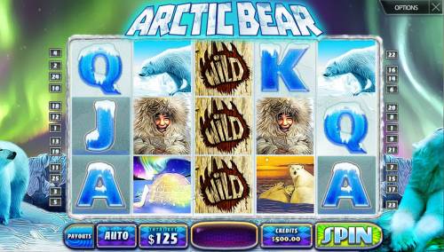 Arctic Bear Big Bonus Slots Main Game Board