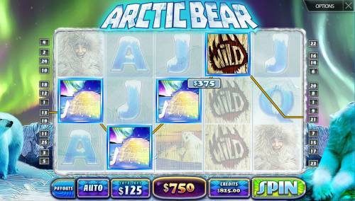 Arctic Bear Big Bonus Slots A winning four of a kind