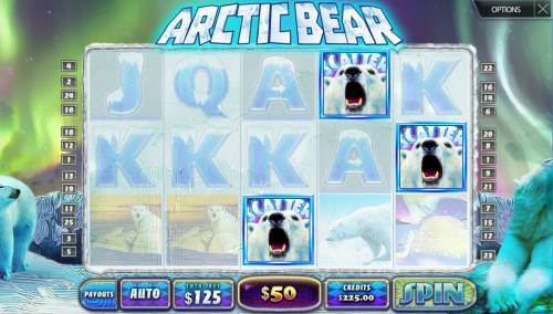 Arctic Bear Big Bonus Slots Scatter Win