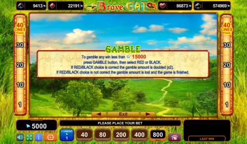 Brave Cat Big Bonus Slots Gamble Feature Rules