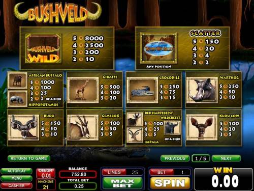 Bushveld Big Bonus Slots wild, scatter and slot symbols paytable