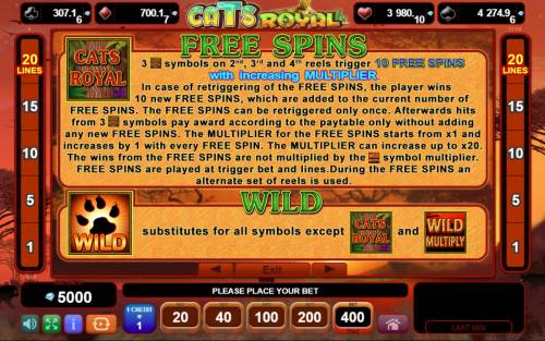Cats Royal Big Bonus Slots Wild and Scatter Symbol Rules