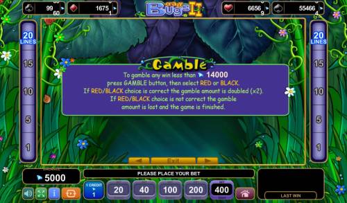 Crazy Bugs II Big Bonus Slots Gamble Feature Rules