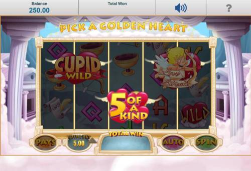 Cupid Wild at Heart Big Bonus Slots Pick A Golden Heart feature awards the 5 of a kind feature.