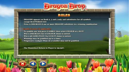 Dragon Drop Big Bonus Slots Gamble feature Rules