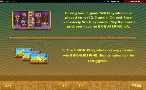 Eye of Ra Big Bonus Slots Wild and Scatter Symbols Rules and Pays
