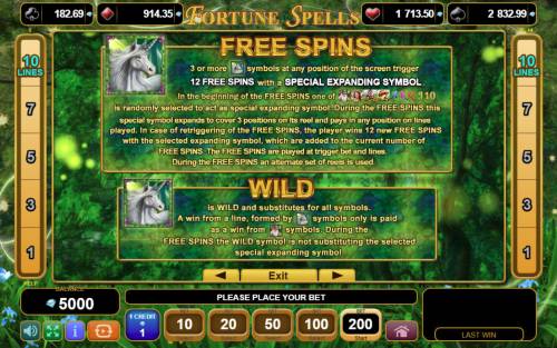 Fortune Spells Big Bonus Slots Wild and Scatter Symbol Rules