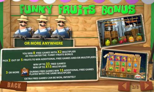 Funky Fruits Farm Big Bonus Slots bonus feature rules