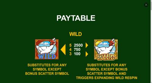 Juego De La Oca Big Bonus Slots Wild Symbol Rules