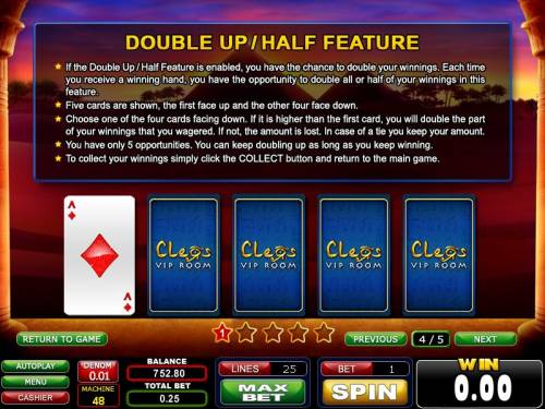 Mystic Queen Big Bonus Slots double up / half feature rules