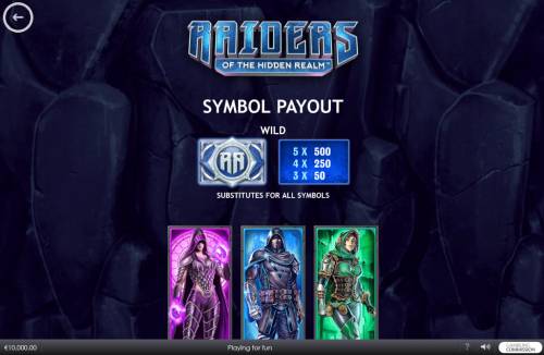 Raiders of the Hidden Realm Big Bonus Slots Wild Symbol Rules