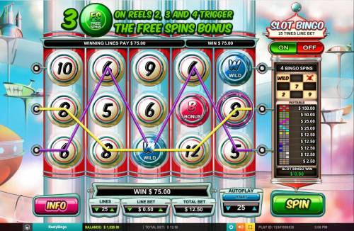 Reely Bingo Big Bonus Slots Multiple winning paylines