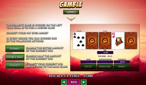 Roaring Wilds Big Bonus Slots Risk Game (gamble) Rules