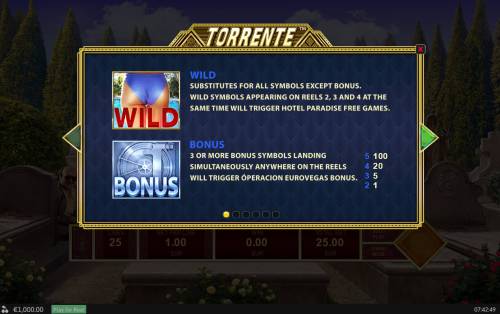 Torrente Big Bonus Slots Wild and Scatter Symbol Rules