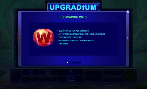 Upgradium Big Bonus Slots Wild and Scatter Symbol Rules