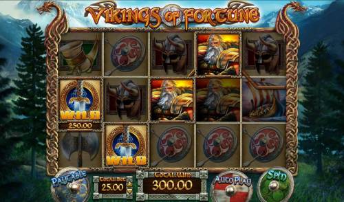 Vikings of Fortune Big Bonus Slots Multiple winning paylines triggers a 300.00 big win!