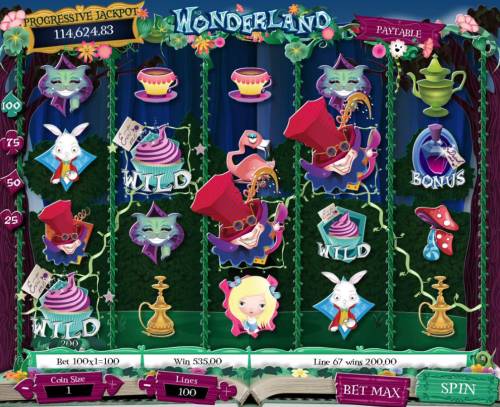 Wonderland Big Bonus Slots Multiple winning paylines triggers a big win!